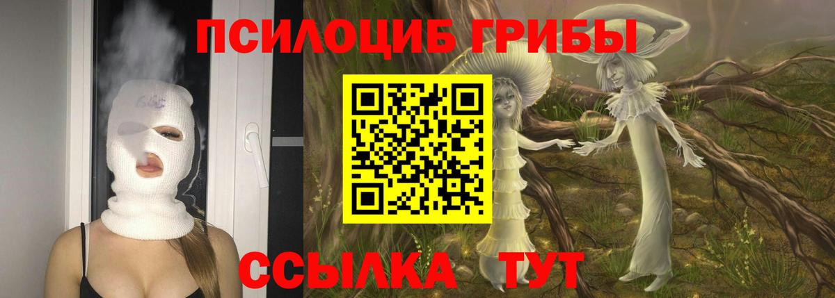 Псилоцибиновые грибы Psilocybe Нижнеудинск